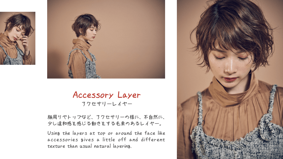 Accessory Layer